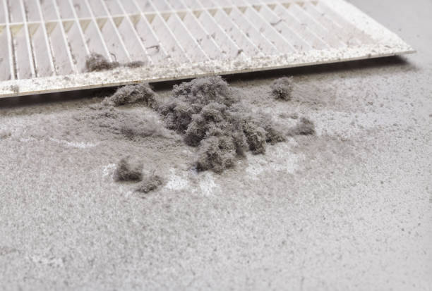 Best Dryer Vent Cleaning Services  in Jamul, CA