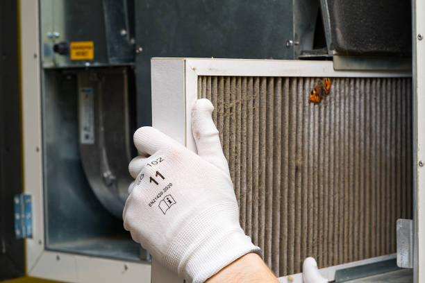 Best Affordable Air Duct Cleaning  in Jamul, CA