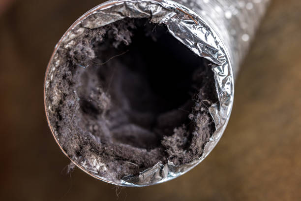 Best Residential Air Duct Cleaning  in Jamul, CA