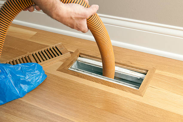 Best HVAC Duct Inspection Services  in Jamul, CA