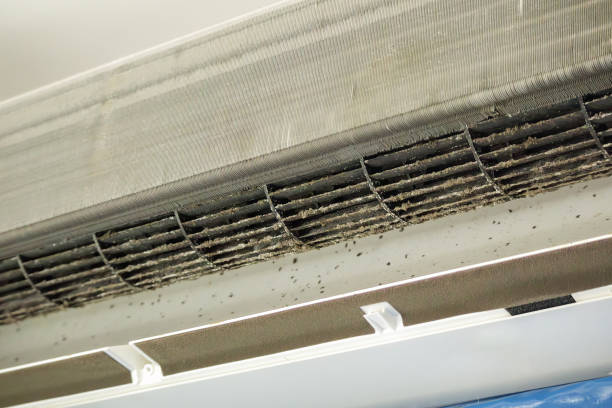 Best Professional Duct Cleaning Services  in Jamul, CA