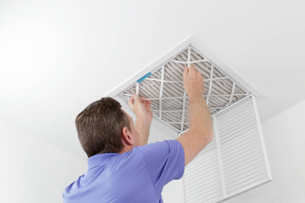Best HVAC Duct Inspection Services  in Jamul, CA